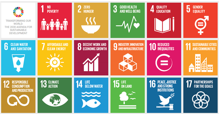 Roma inclusion in the SDGs: Call for experts