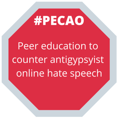 Peer educators combatting antigypsyism online