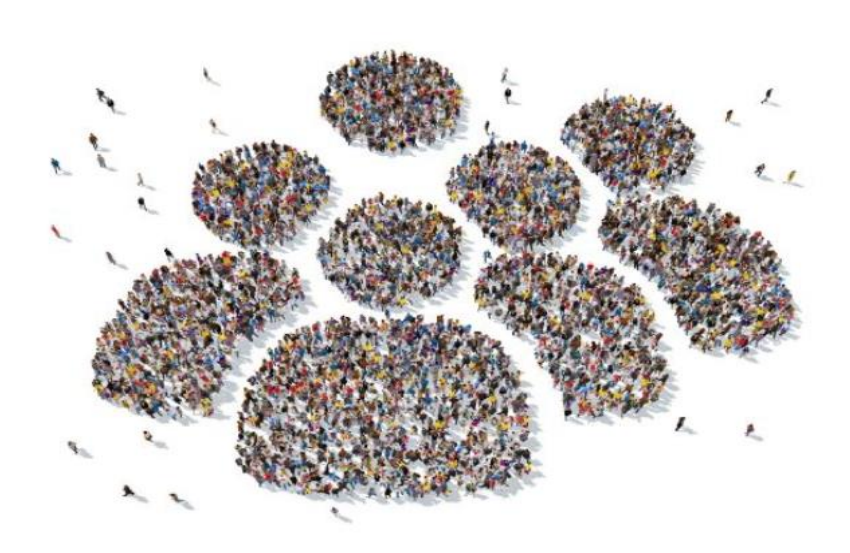 ERGO Network Response to the Draft Joint Employment Report 2021: European Commission Releases Proposal for Joint Employment Report 2021 – What’s in it for Europe’s Roma?